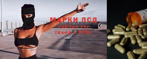шишки Арсеньев