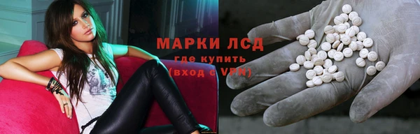 шишки Арсеньев