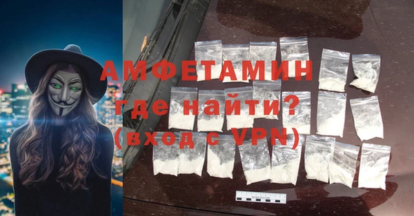 шишки Арсеньев