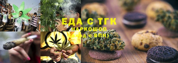 шишки Арсеньев