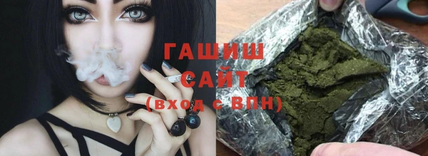 шишки Арсеньев