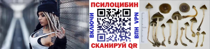 Псилоцибиновые грибы мицелий  Учалы 