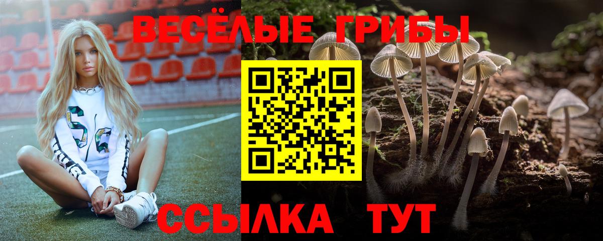 Галлюциногенные грибы ЛСД Учалы